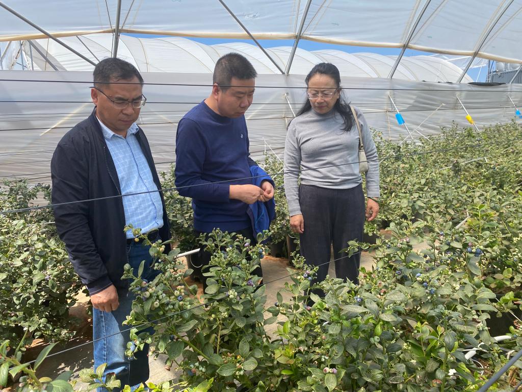 拓宽毕业生就业渠道和资源